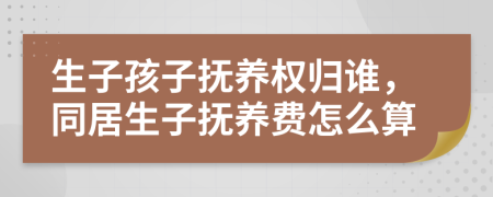 生子孩子撫養(yǎng)權(quán)歸誰(shuí)，同居生子撫養(yǎng)費(fèi)怎么算