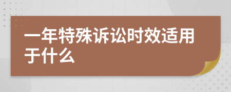 一年特殊訴訟時效適用于什么
