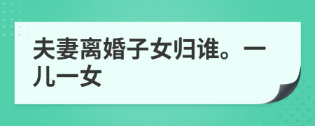 夫妻離婚子女歸誰。一兒一女