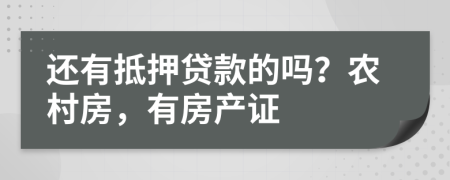 還有抵押貸款的嗎？農(nóng)村房，有房產(chǎn)證