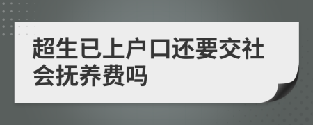 超生已上戶口還要交社會(huì)撫養(yǎng)費(fèi)嗎