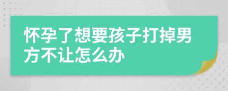 懷孕了想要孩子打掉男方不讓怎么辦