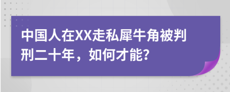 中國人在XX走私犀牛角被判刑二十年，如何才能？