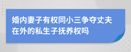 婚內(nèi)妻子有權(quán)同小三爭奪丈夫在外的私生子撫養(yǎng)權(quán)嗎