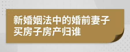 新婚姻法中的婚前妻子買房子房產(chǎn)歸誰(shuí)