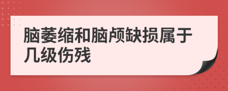 腦萎縮和腦顱缺損屬于幾級傷殘