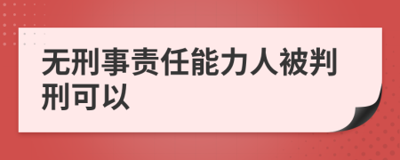 無刑事責任能力人被判刑可以