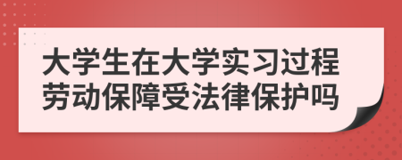 大學(xué)生在大學(xué)實(shí)習(xí)過程勞動保障受法律保護(hù)嗎