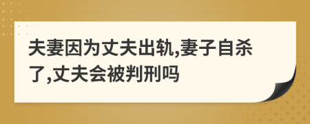 夫妻因為丈夫出軌,妻子自殺了,丈夫會被判刑嗎