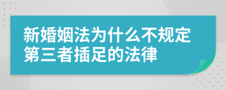 新婚姻法為什么不規(guī)定第三者插足的法律