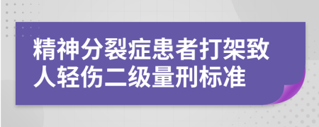 精神分裂癥患者打架致人輕傷二級量刑標準