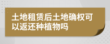 土地租賃后土地確權(quán)可以返還種植物嗎