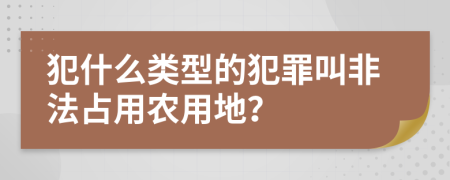 犯什么類型的犯罪叫非法占用農(nóng)用地？