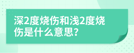 深2度燒傷和淺2度燒傷是什么意思？