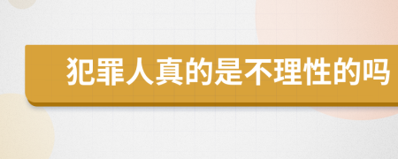 犯罪人真的是不理性的嗎