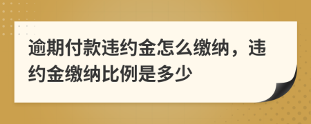 逾期付款違約金怎么繳納，違約金繳納比例是多少