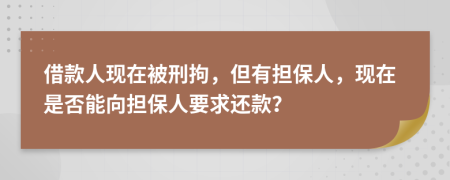 借款人現(xiàn)在被刑拘，但有擔保人，現(xiàn)在是否能向擔保人要求還款？