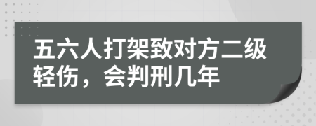 五六人打架致對方二級輕傷，會判刑幾年