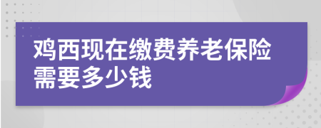 雞西現(xiàn)在繳費養(yǎng)老保險需要多少錢