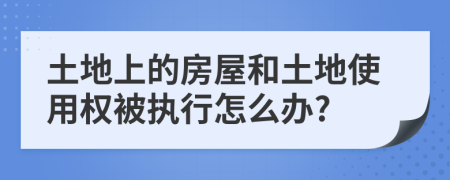 土地上的房屋和土地使用權(quán)被執(zhí)行怎么辦?