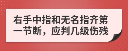 右手中指和無名指齊第一節(jié)斷，應判幾級傷殘