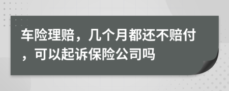車險(xiǎn)理賠，幾個(gè)月都還不賠付，可以起訴保險(xiǎn)公司嗎
