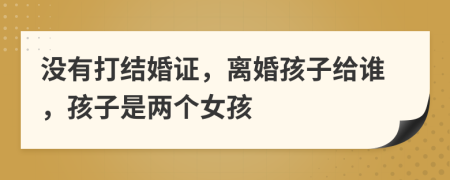 沒有打結(jié)婚證，離婚孩子給誰，孩子是兩個(gè)女孩