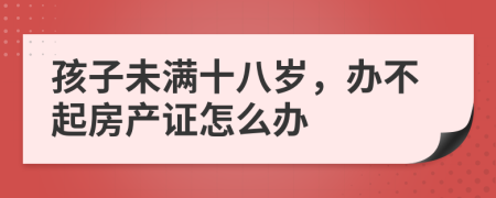 孩子未滿十八歲，辦不起房產(chǎn)證怎么辦