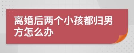 離婚后兩個小孩都歸男方怎么辦