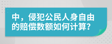 中，侵犯公民人身自由的賠償數(shù)額如何計(jì)算？