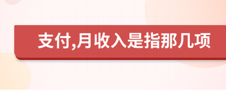 支付,月收入是指那幾項(xiàng)