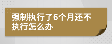 強制執(zhí)行了6個月還不執(zhí)行怎么辦