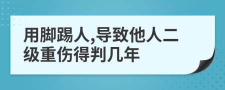 用腳踢人,導(dǎo)致他人二級重傷得判幾年