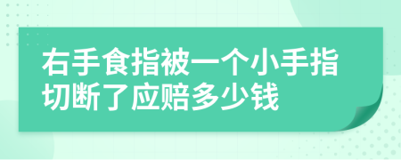 右手食指被一個小手指切斷了應(yīng)賠多少錢