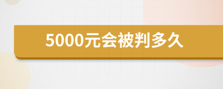 5000元會(huì)被判多久