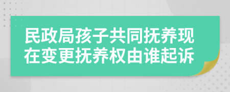 民政局孩子共同撫養(yǎng)現(xiàn)在變更撫養(yǎng)權(quán)由誰起訴