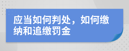 應當如何判處，如何繳納和追繳罰金
