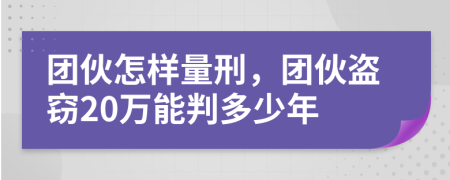 團伙怎樣量刑，團伙盜竊20萬能判多少年