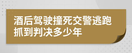 酒后駕駛撞死交警逃跑抓到判決多少年