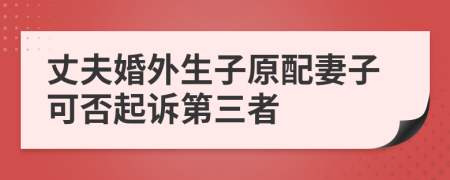 丈夫婚外生子原配妻子可否起訴第三者