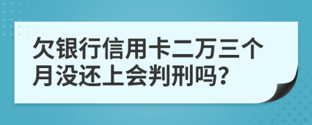 欠銀行信用卡二萬(wàn)三個(gè)月沒(méi)還上會(huì)判刑嗎？