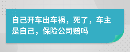 自己開車出車禍，死了，車主是自己，保險公司賠嗎
