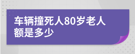 車輛撞死人80歲老人額是多少