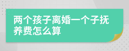 兩個(gè)孩子離婚一個(gè)子撫養(yǎng)費(fèi)怎么算