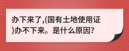 辦下來了,(國有土地使用證)辦不下來。是什么原因?