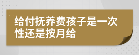 給付撫養(yǎng)費(fèi)孩子是一次性還是按月給