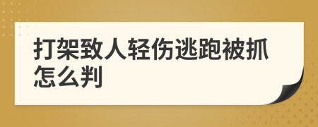 打架致人輕傷逃跑被抓怎么判