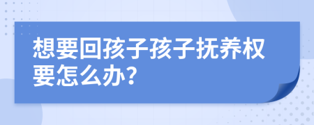 想要回孩子孩子撫養(yǎng)權(quán)要怎么辦？