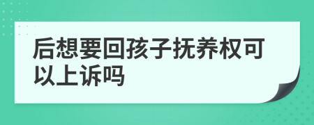 后想要回孩子撫養(yǎng)權(quán)可以上訴嗎