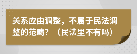 關(guān)系應(yīng)由調(diào)整，不屬于民法調(diào)整的范疇？（民法里不有嗎）